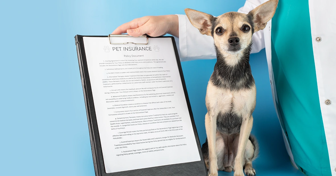 Assurances animaux de compagnie